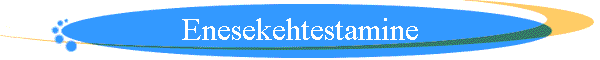 Enesekehtestamine