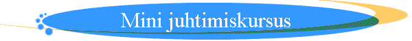 Mini juhtimiskursus
