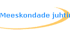 Meeskondade juhtimine