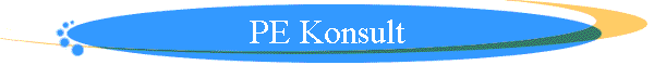 PE Konsult